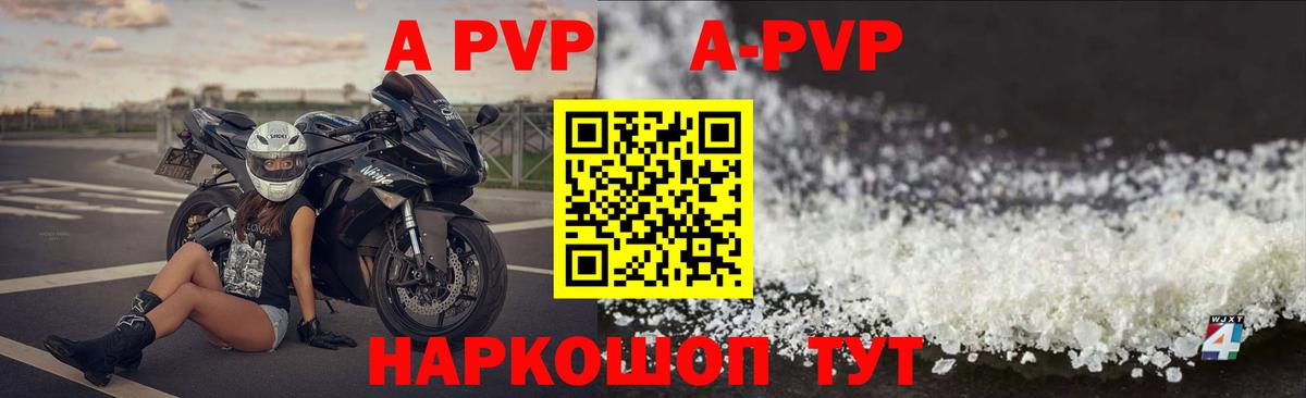 Альфа ПВП СК КРИС Грозный