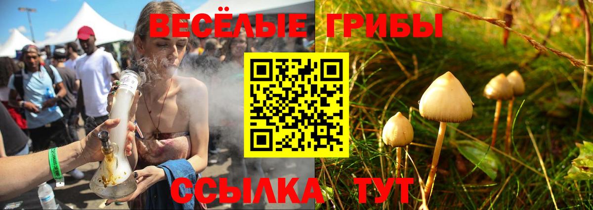 Грозный  Галлюциногенные грибы ЛСД  Галлюциногенные грибы прущие грибы  Вход с VPN 