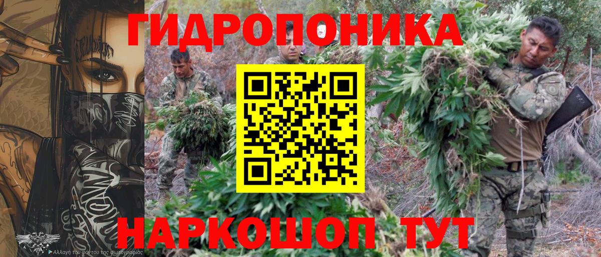 Грозный  Бошки марихуана план  Марихуана семена  Шишки марихуана Ganja  Вход с VPN 